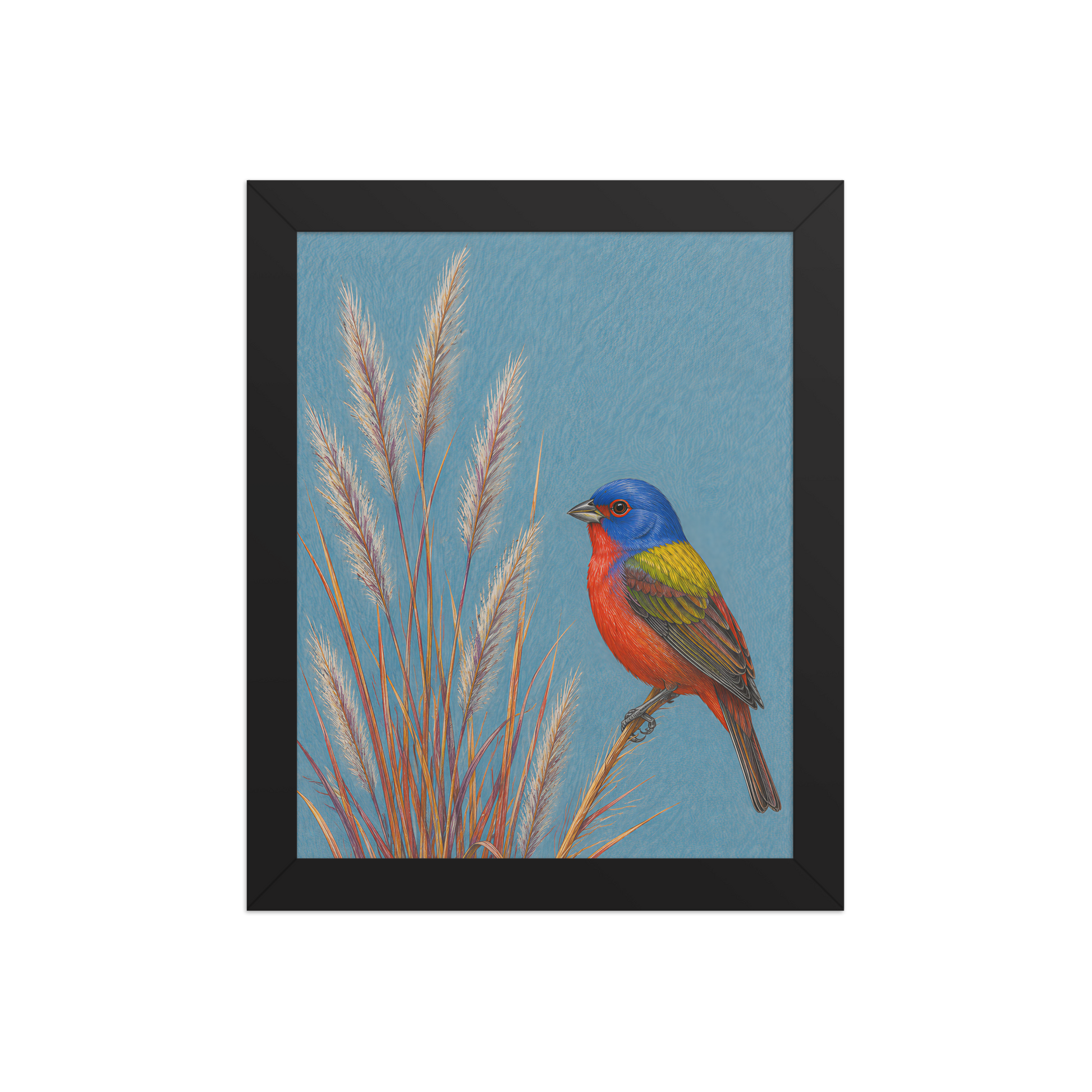 Framed Painted Bunting colored pencil illustration in prairie grass, dusty blue background, wood frame wall art