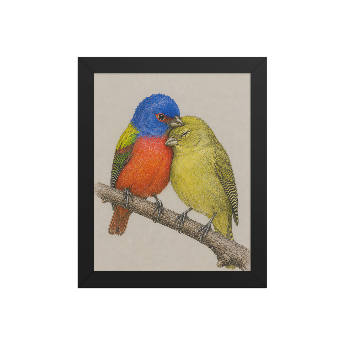 Framed male and female Painted Bunting pair colored pencil illustration, wood frame wall art