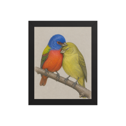 Framed male and female Painted Bunting pair colored pencil illustration, wood frame wall art