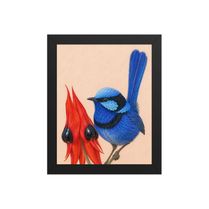 Framed Splendid Fairywren blue wren colored pencil illustration, terracotta background, wood frame wall art