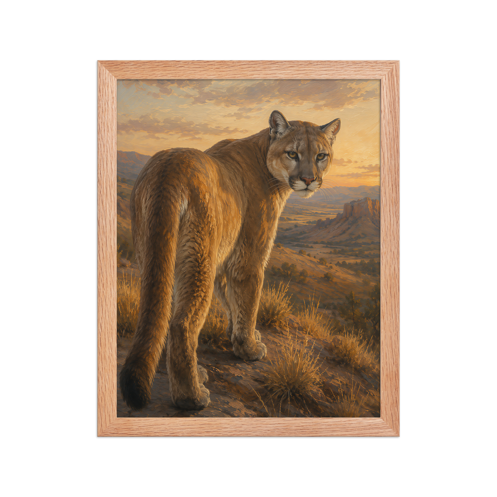 Mountain Lion Sunset Pride Framed Poster