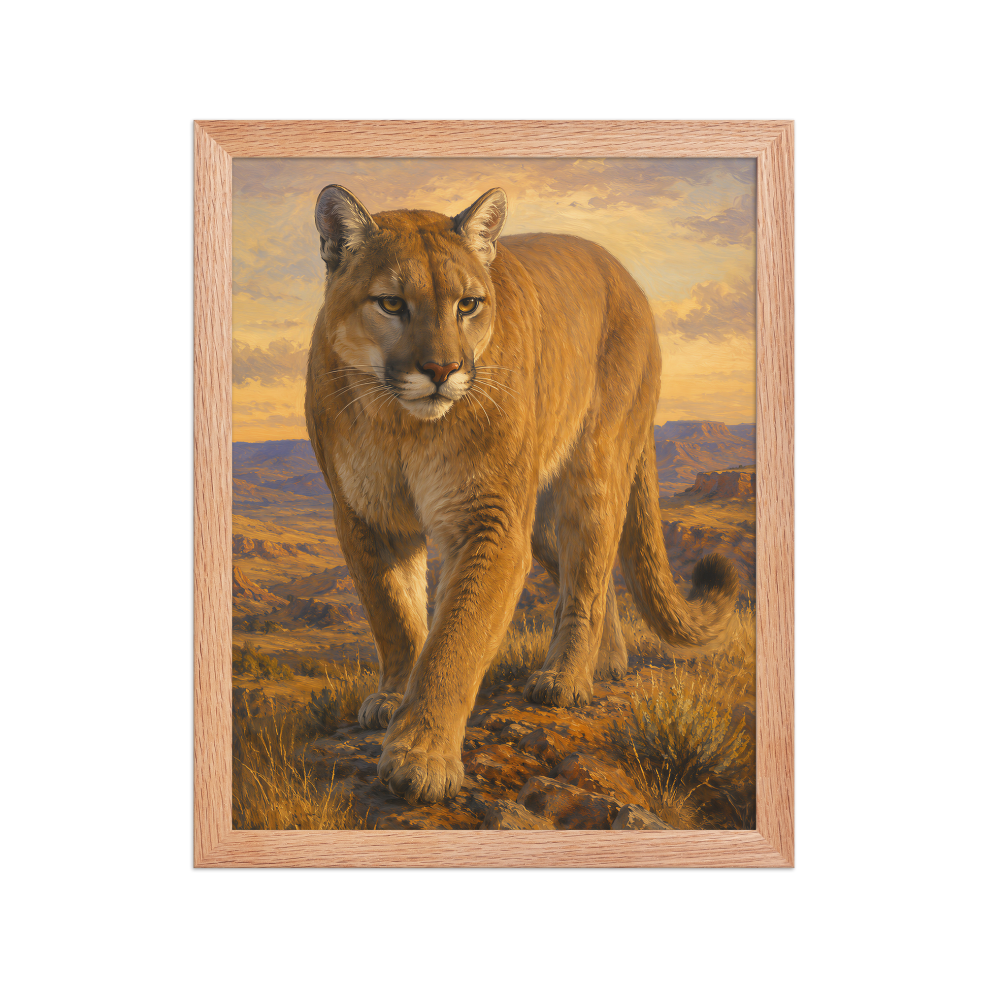 Mountain Lion Desert Pride Framed Poster