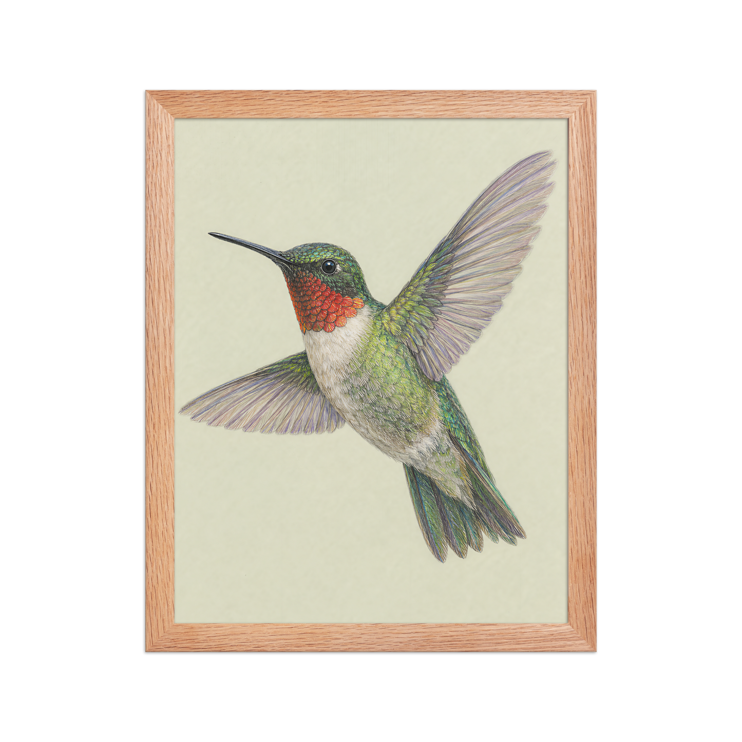 Framed Ruby-throated hummingbird colored pencil illustration print on sage green pastel background, wood frame wall art