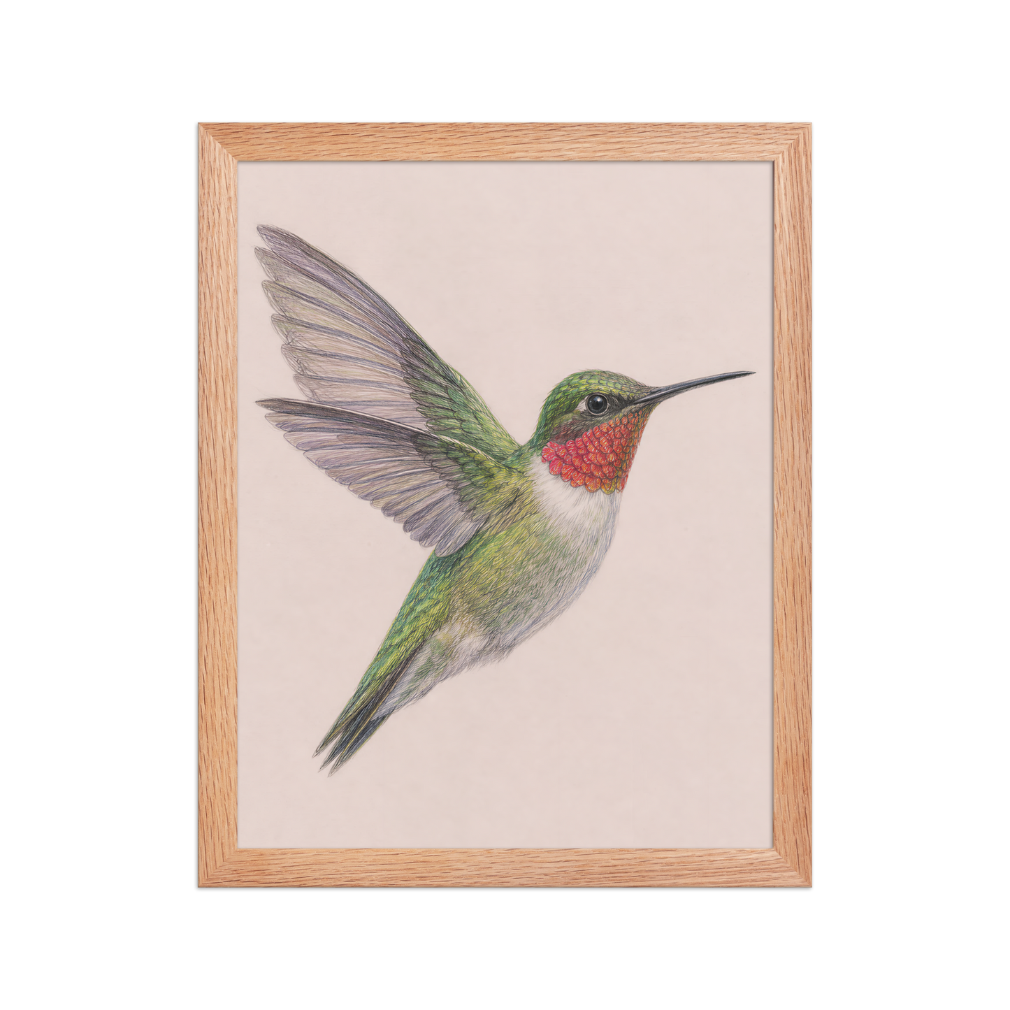 Framed Ruby-throated hummingbird colored pencil illustration print on dusty rose pastel background, wood frame wall art