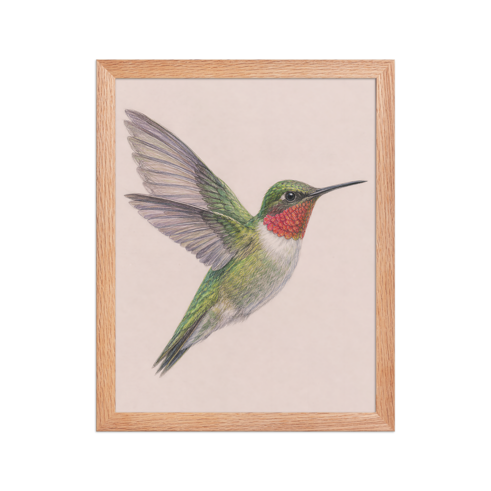 Framed Ruby-throated hummingbird colored pencil illustration print on dusty rose pastel background, wood frame wall art