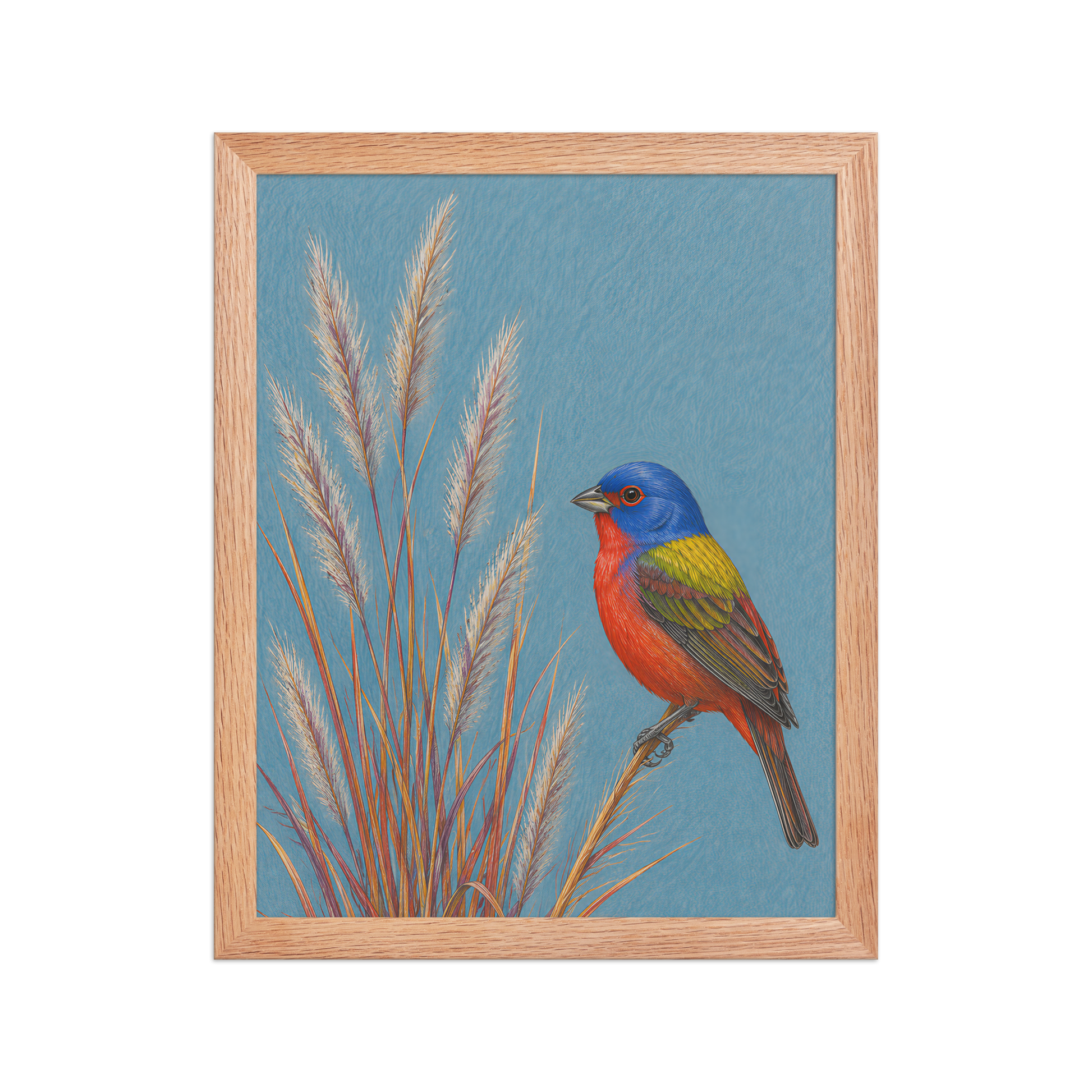 Framed Painted Bunting colored pencil illustration in prairie grass, dusty blue background, wood frame wall art