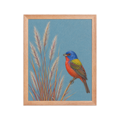 Framed Painted Bunting colored pencil illustration in prairie grass, dusty blue background, wood frame wall art