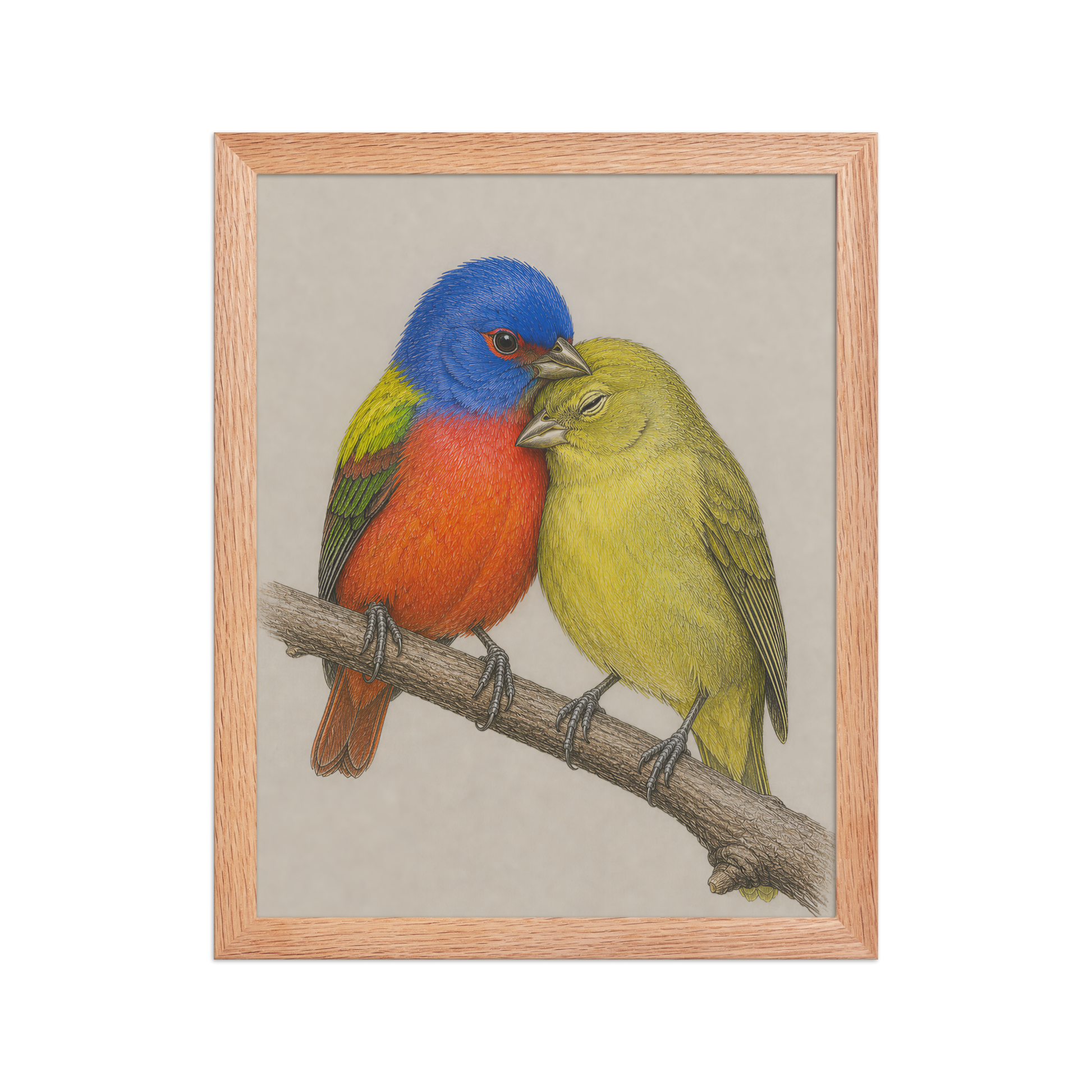 Framed male and female Painted Bunting pair colored pencil illustration, wood frame wall art