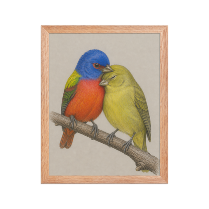 Framed male and female Painted Bunting pair colored pencil illustration, wood frame wall art