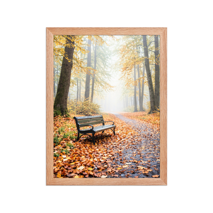 Framed autumn park bench wall art, foggy forest path fall leaves calm aesthetic poster, black frame, JMTR Jeometry Store