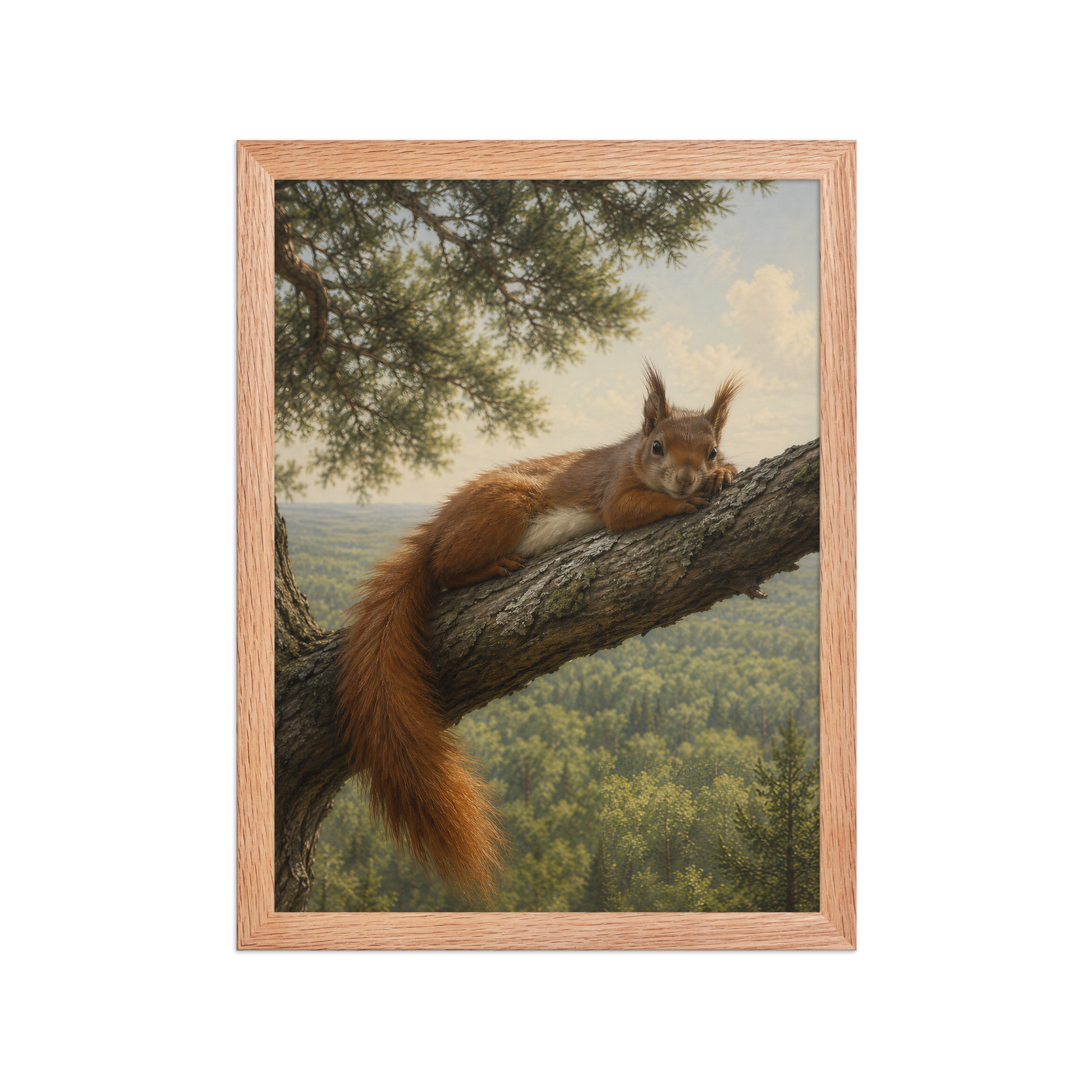 Squirrel Canopy Calm Framed Poster
