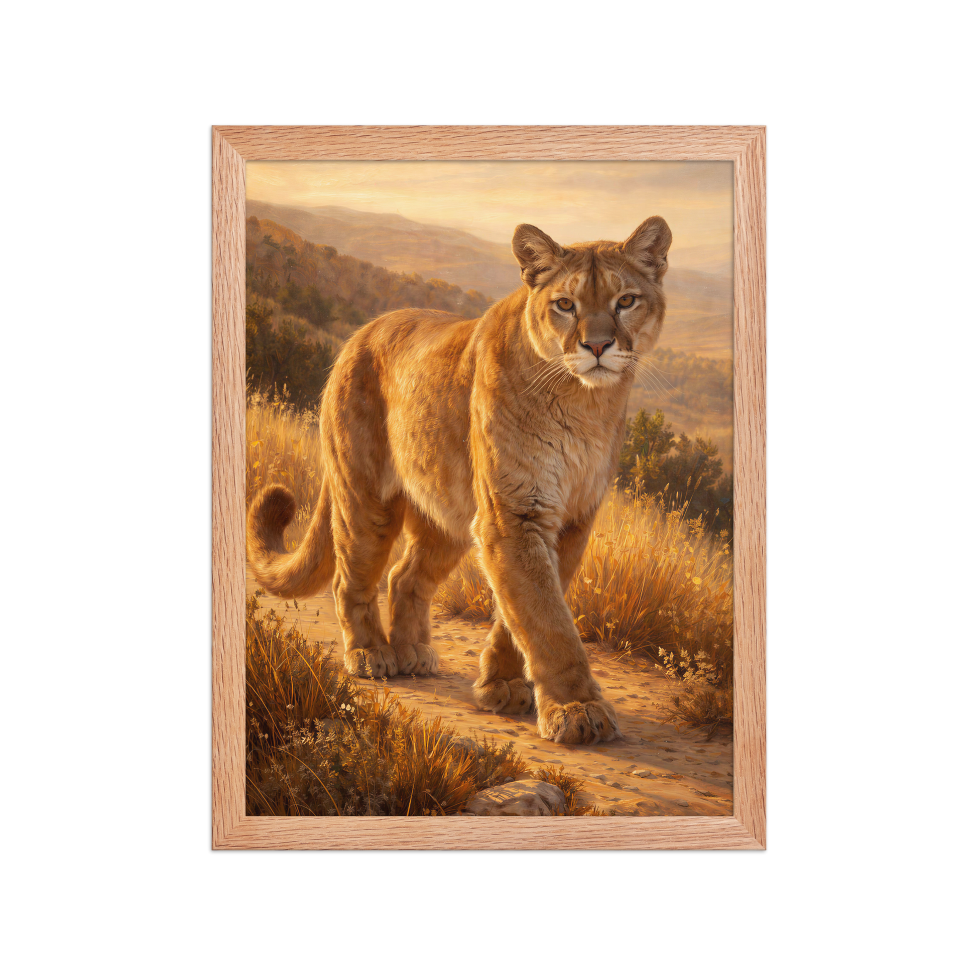 Mountain Lion Pride Framed Poster