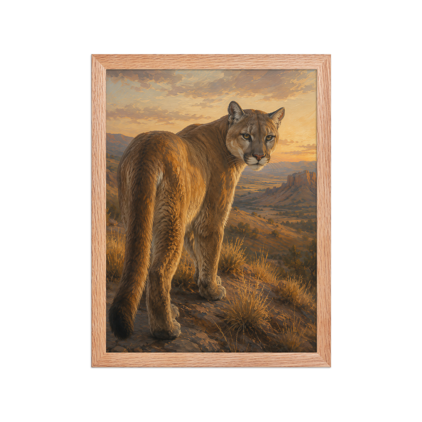 Mountain Lion Sunset Pride Framed Poster