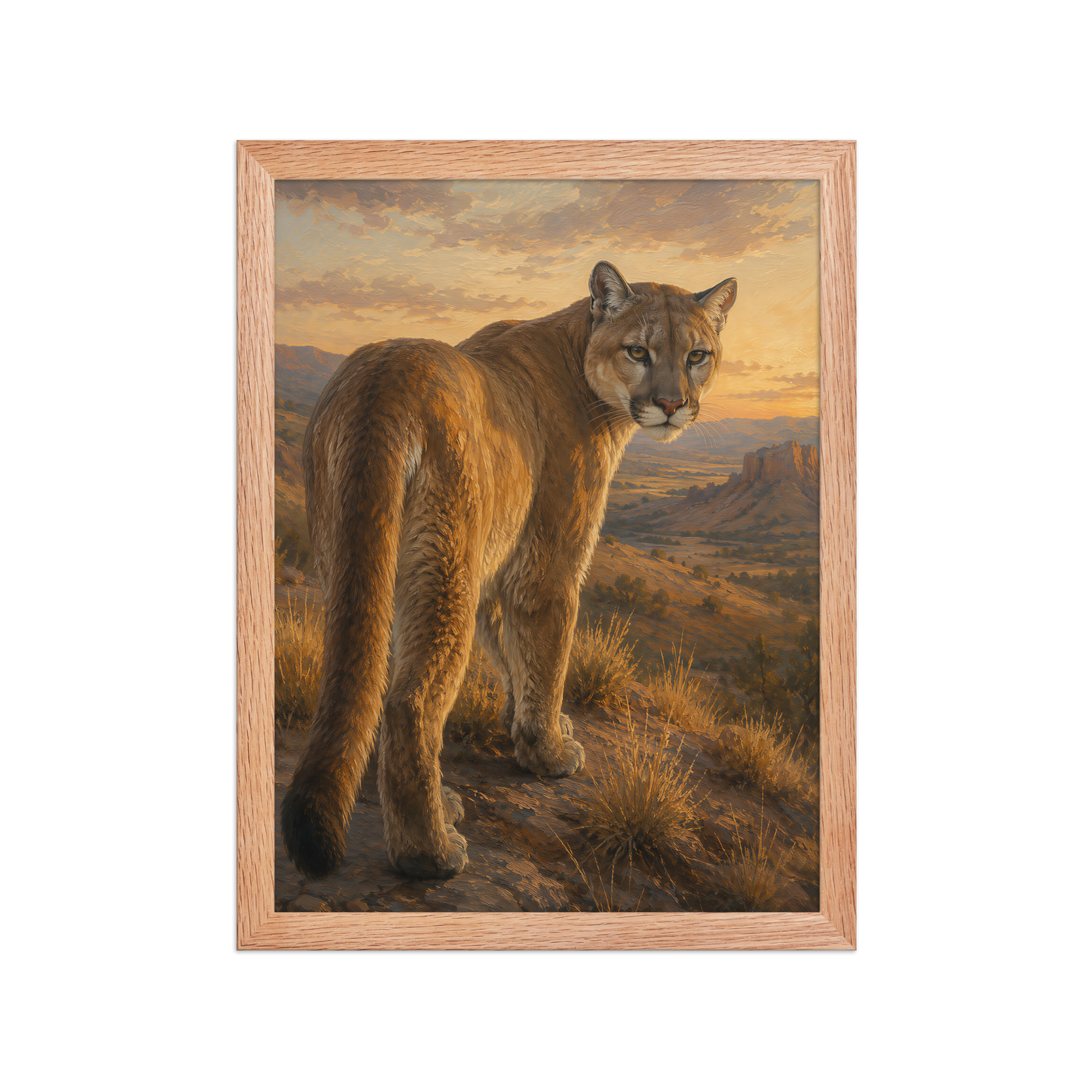 Mountain Lion Sunset Pride Framed Poster