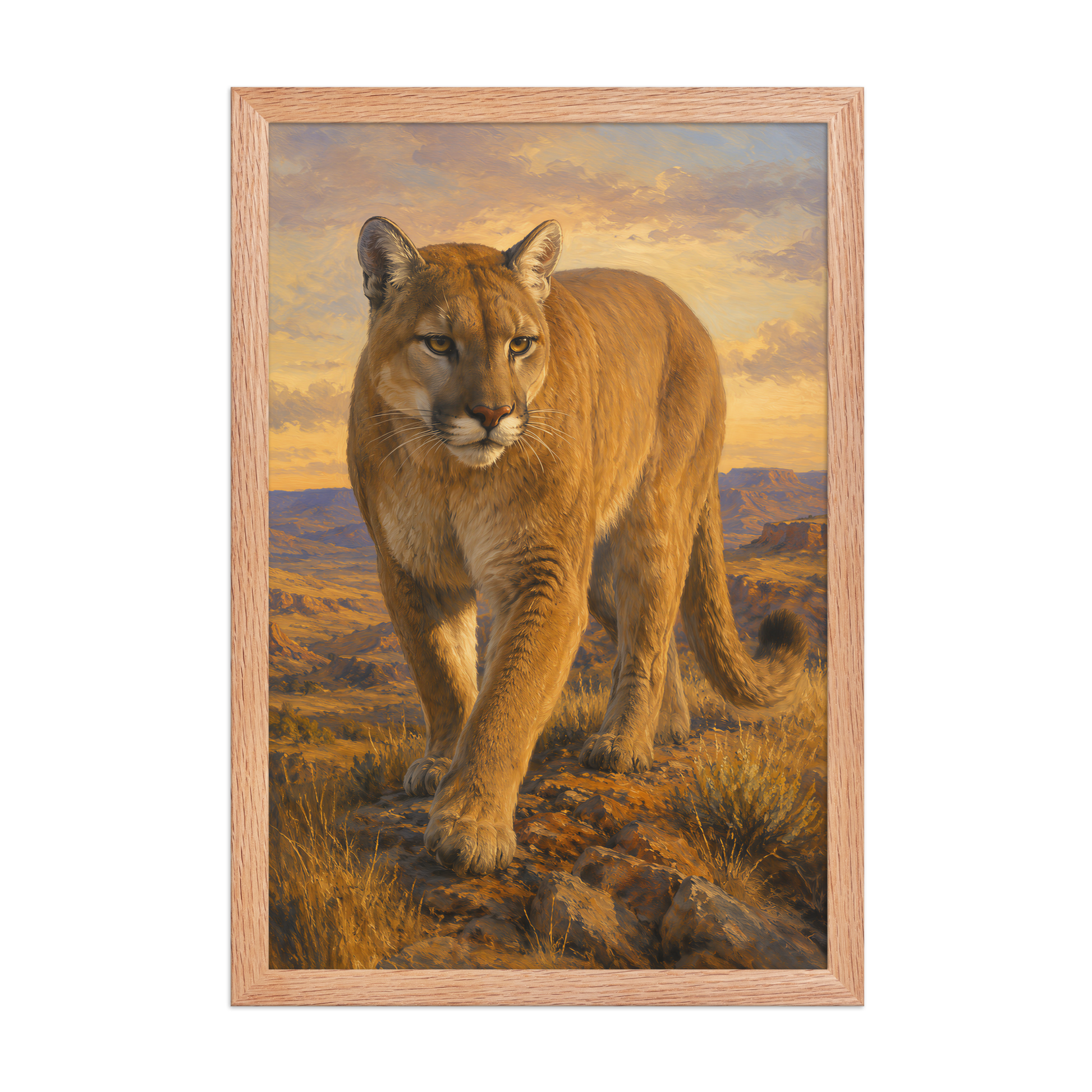 Mountain Lion Desert Pride Framed Poster