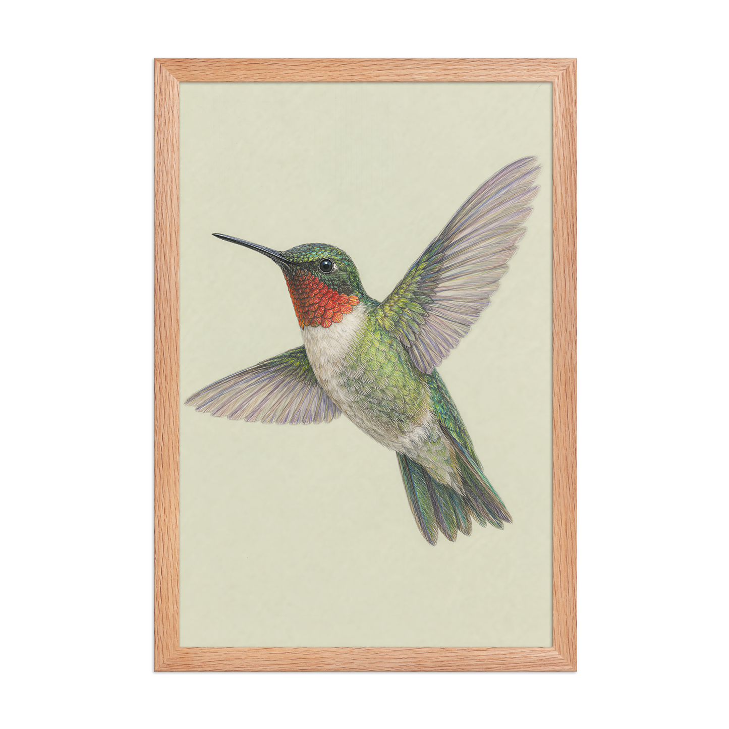 Framed Ruby-throated hummingbird colored pencil illustration print on sage green pastel background, wood frame wall art