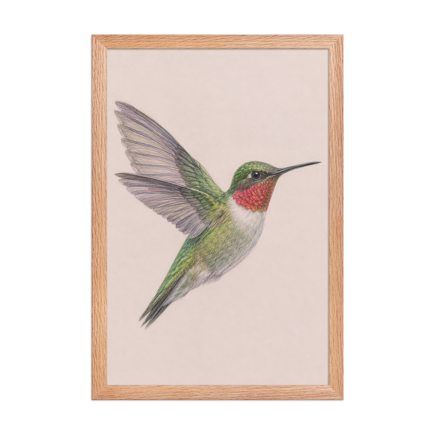 Framed Ruby-throated hummingbird colored pencil illustration print on dusty rose pastel background, wood frame wall art
