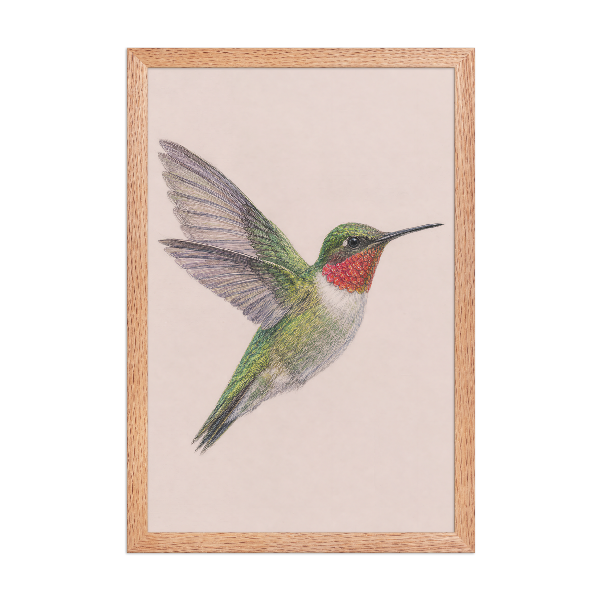 Framed Ruby-throated hummingbird colored pencil illustration print on dusty rose pastel background, wood frame wall art