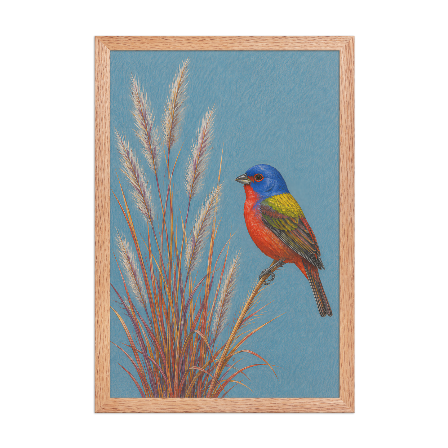 Framed Painted Bunting colored pencil illustration in prairie grass, dusty blue background, wood frame wall art