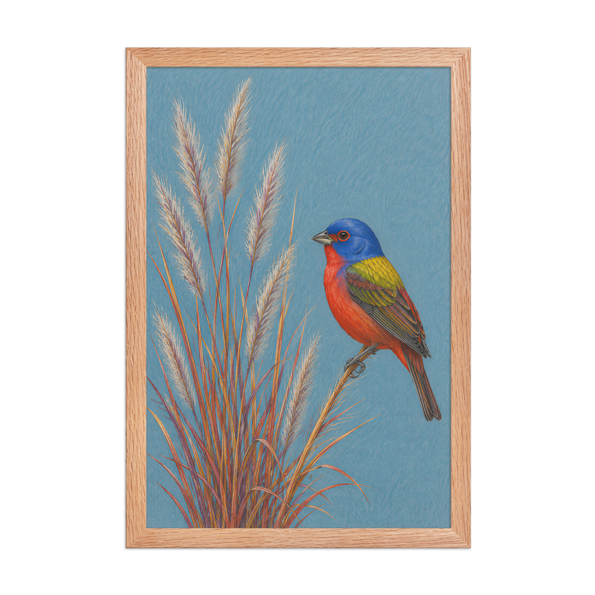 Framed Painted Bunting colored pencil illustration in prairie grass, dusty blue background, wood frame wall art