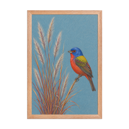 Framed Painted Bunting colored pencil illustration in prairie grass, dusty blue background, wood frame wall art