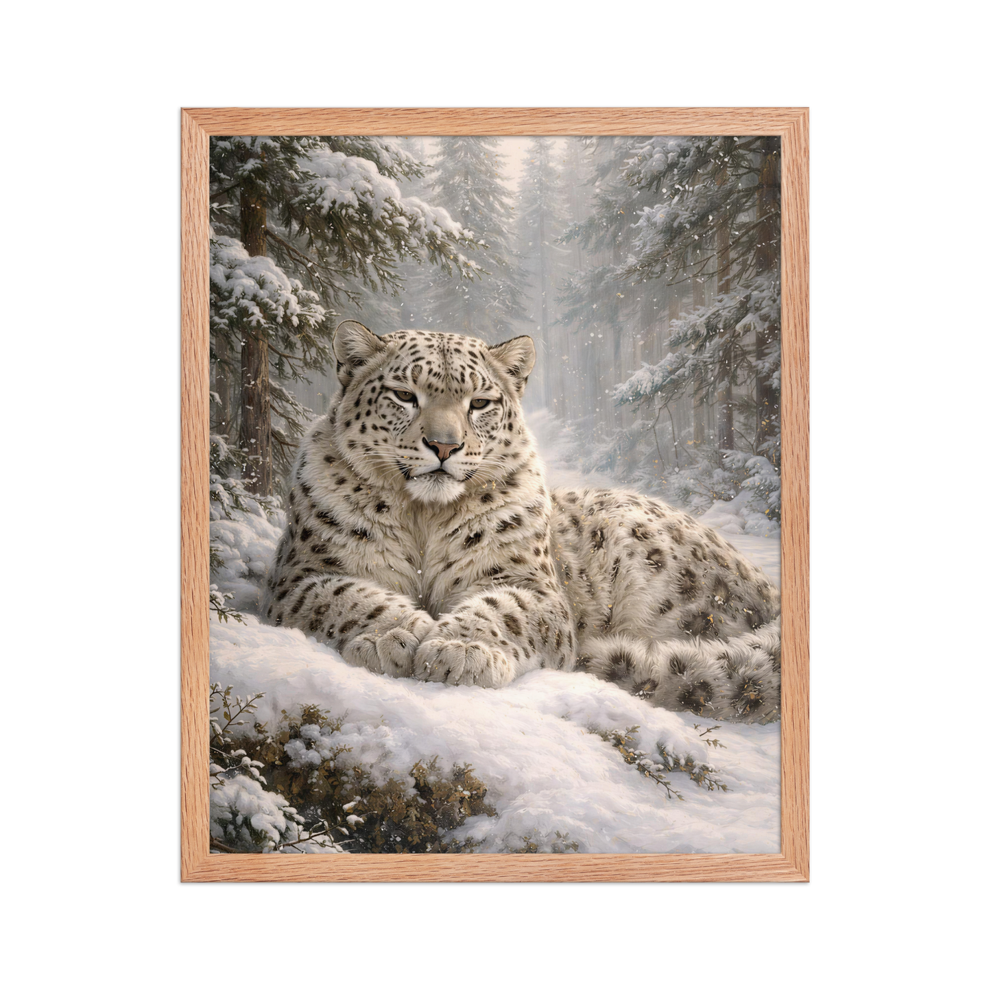 Snow Leopard Winter Calm Framed Poster