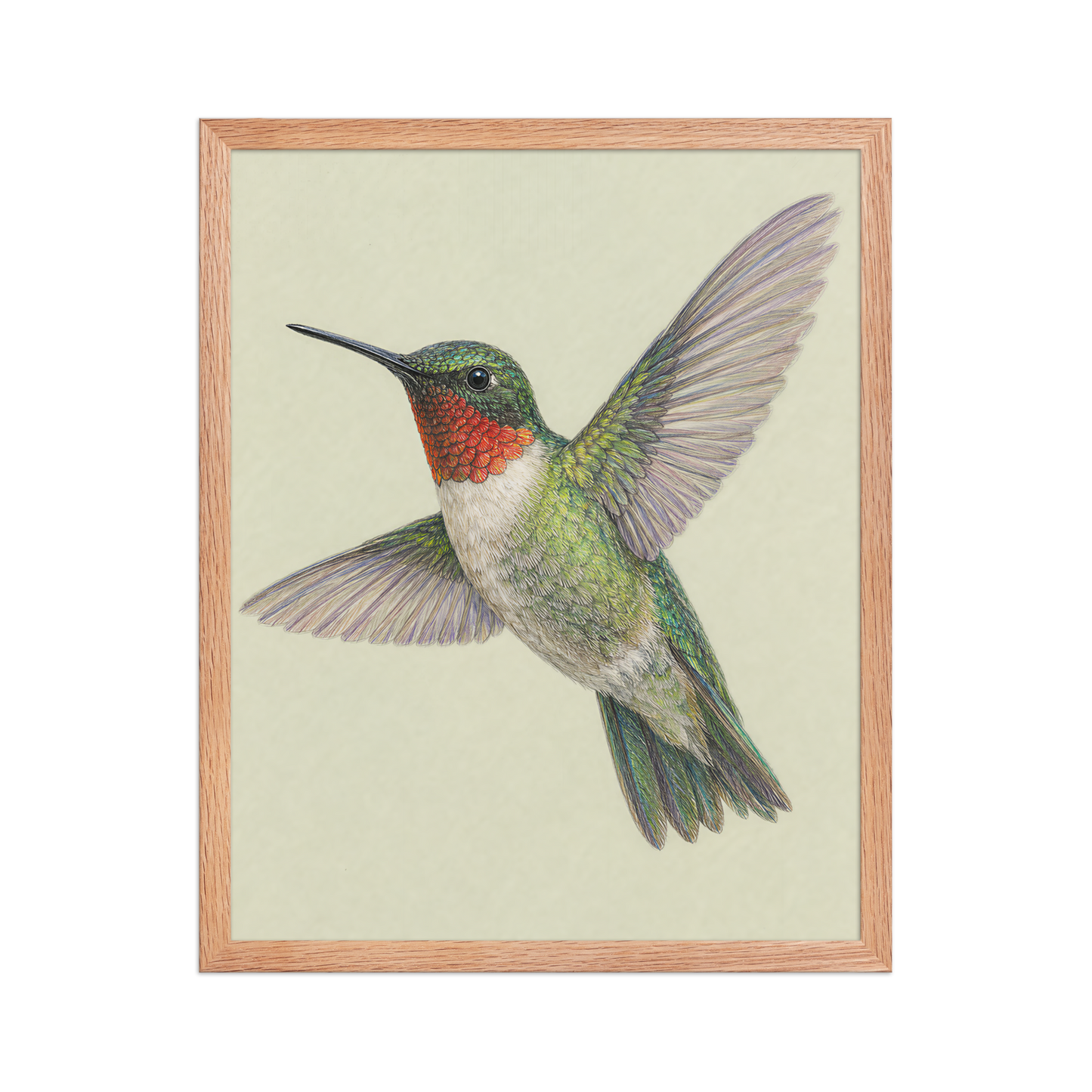 Framed Ruby-throated hummingbird colored pencil illustration print on sage green pastel background, wood frame wall art