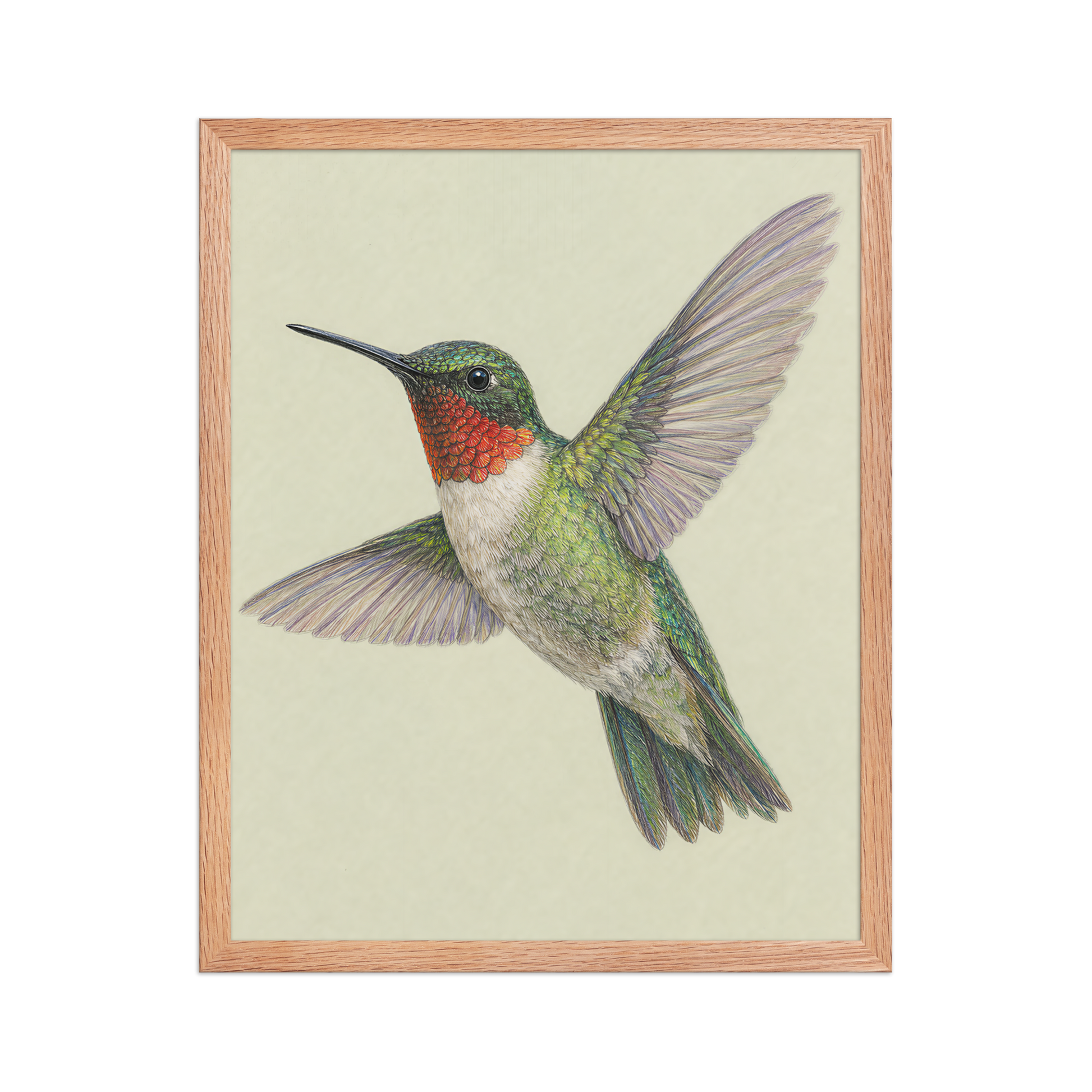 Framed Ruby-throated hummingbird colored pencil illustration print on sage green pastel background, wood frame wall art