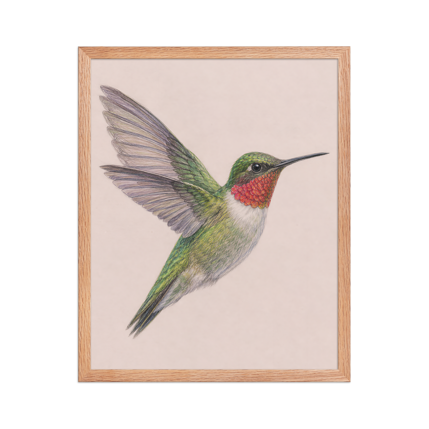 Framed Ruby-throated hummingbird colored pencil illustration print on dusty rose pastel background, wood frame wall art