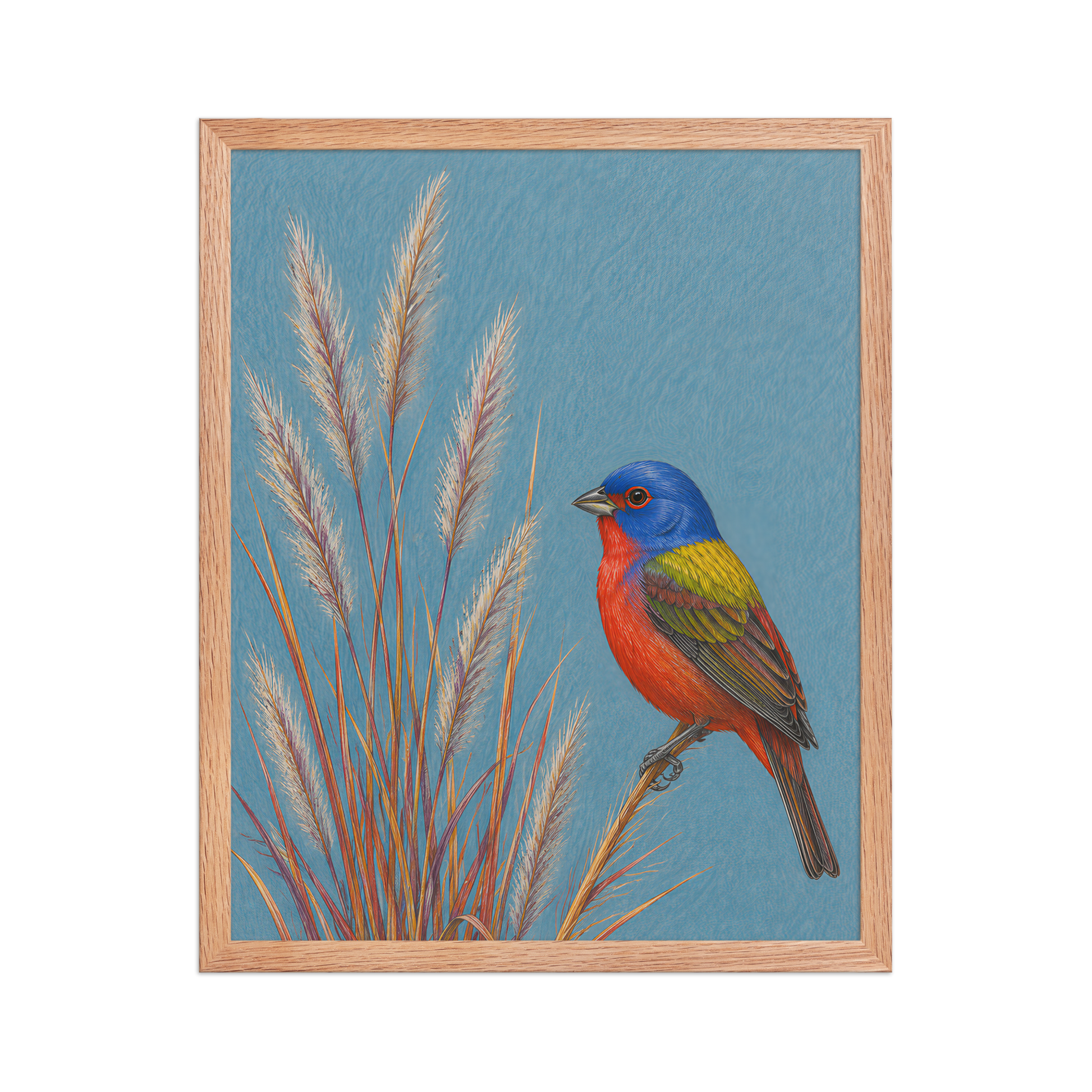 Framed Painted Bunting colored pencil illustration in prairie grass, dusty blue background, wood frame wall art