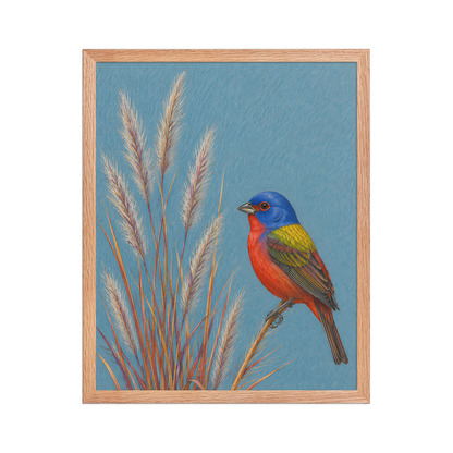 Framed Painted Bunting colored pencil illustration in prairie grass, dusty blue background, wood frame wall art