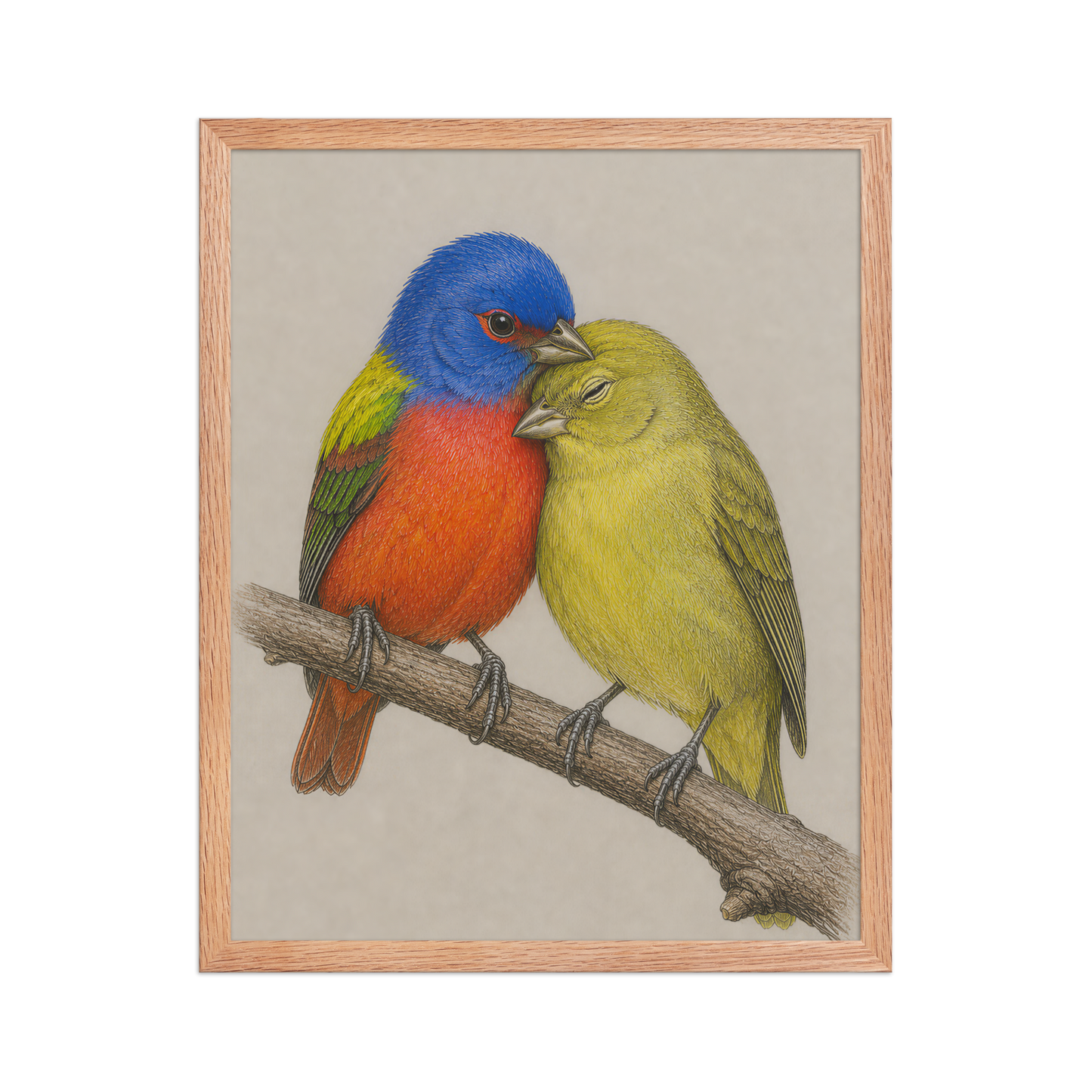 Framed male and female Painted Bunting pair colored pencil illustration, wood frame wall art