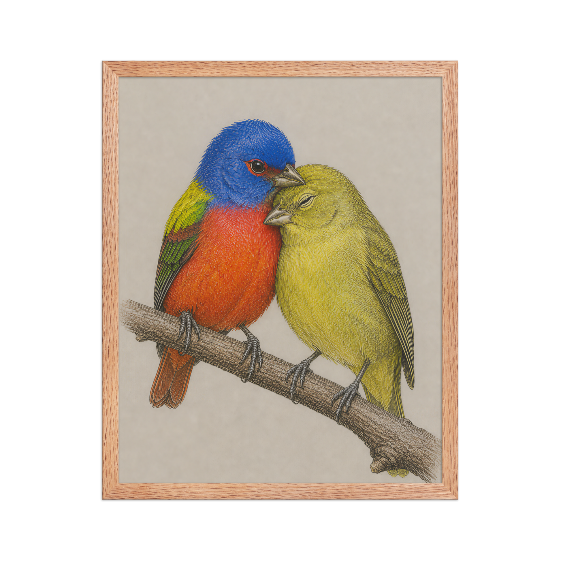 Framed male and female Painted Bunting pair colored pencil illustration, wood frame wall art