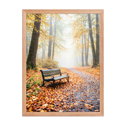 Framed autumn park bench wall art, foggy forest path fall leaves calm aesthetic poster, black frame, JMTR Jeometry Store