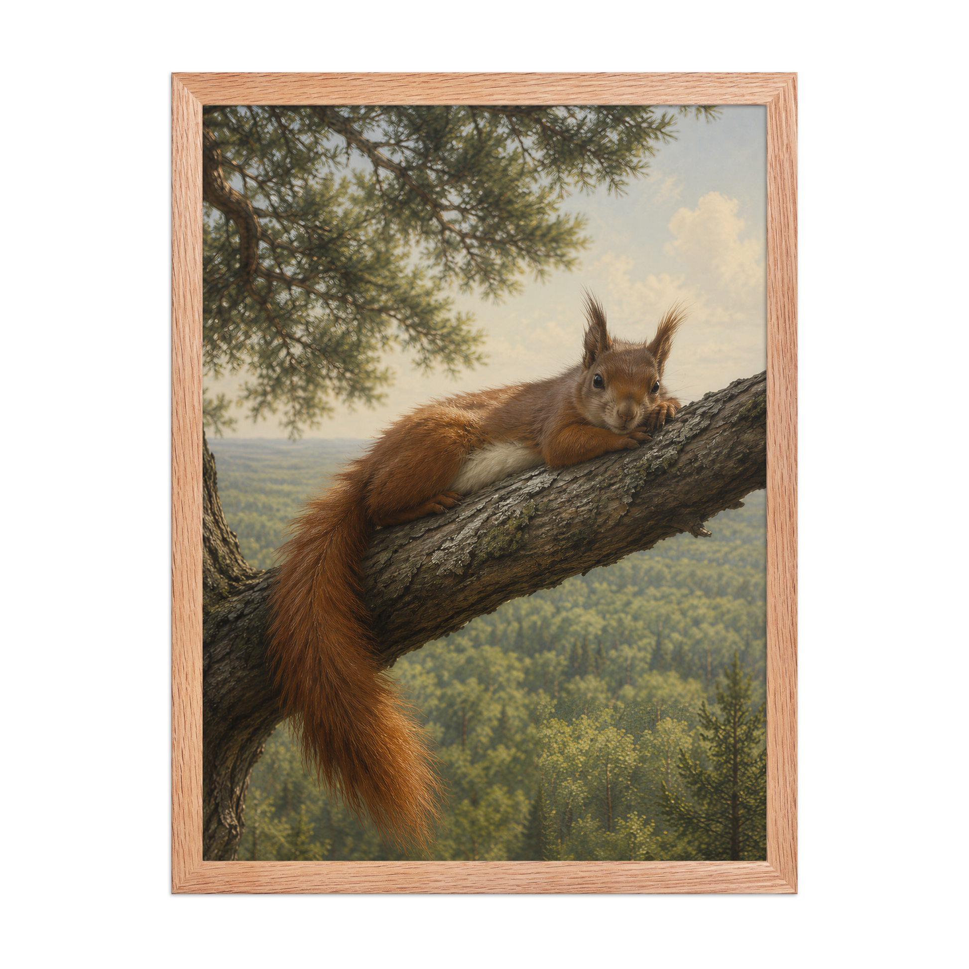 Squirrel Canopy Calm Framed Poster