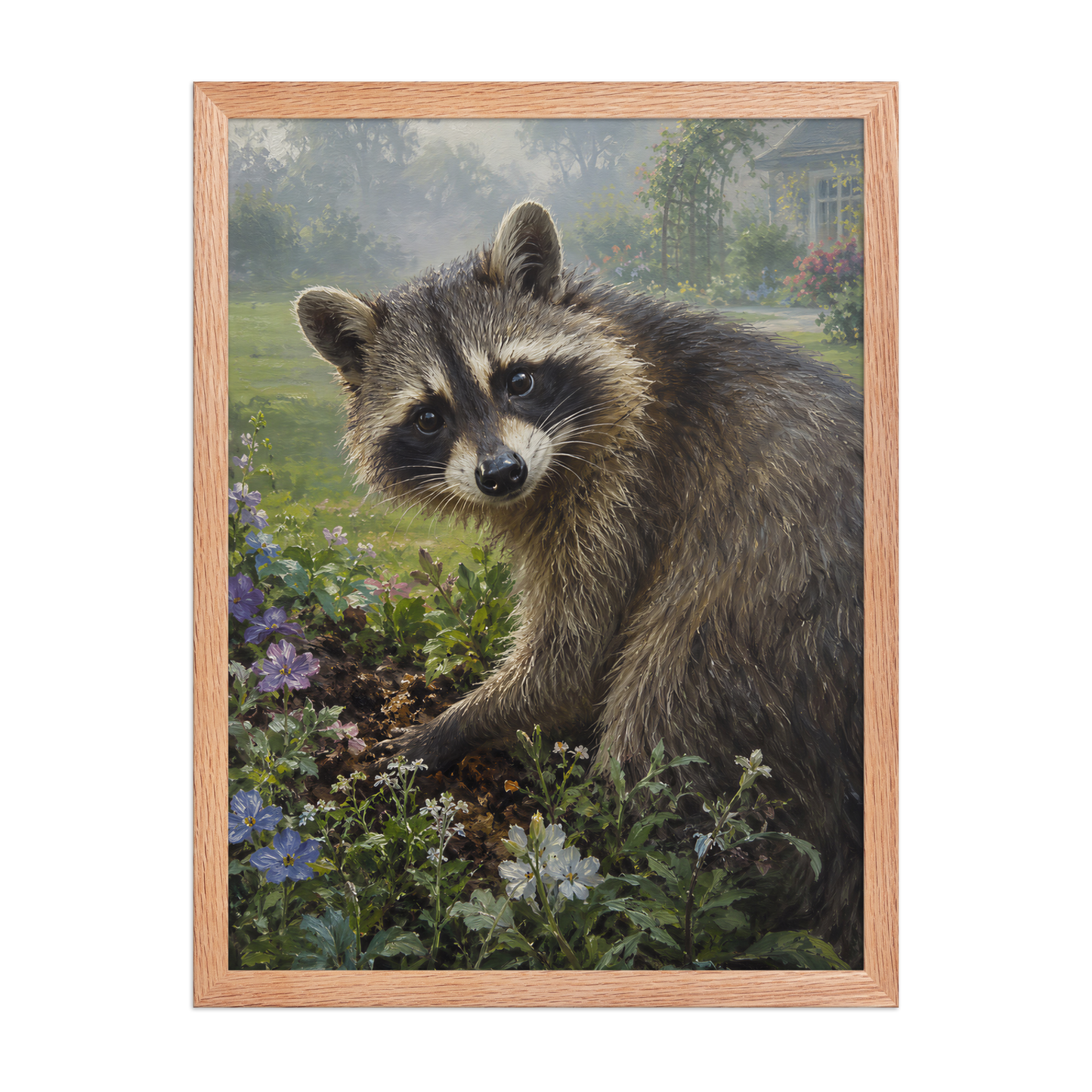 Garden Raccoon Curiosity Framed Poster