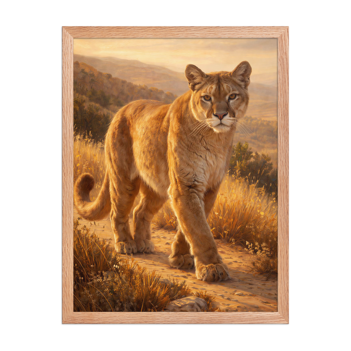 Mountain Lion Pride Framed Poster