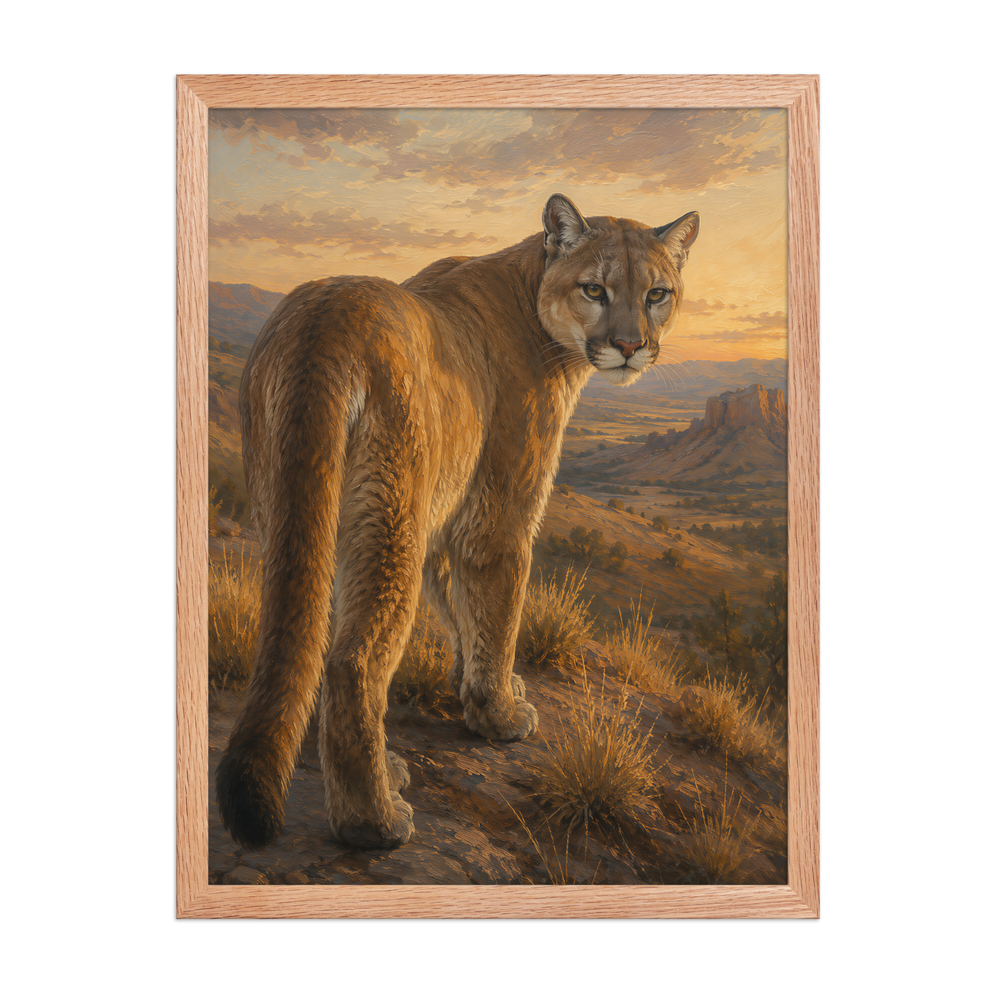 Mountain Lion Sunset Pride Framed Poster