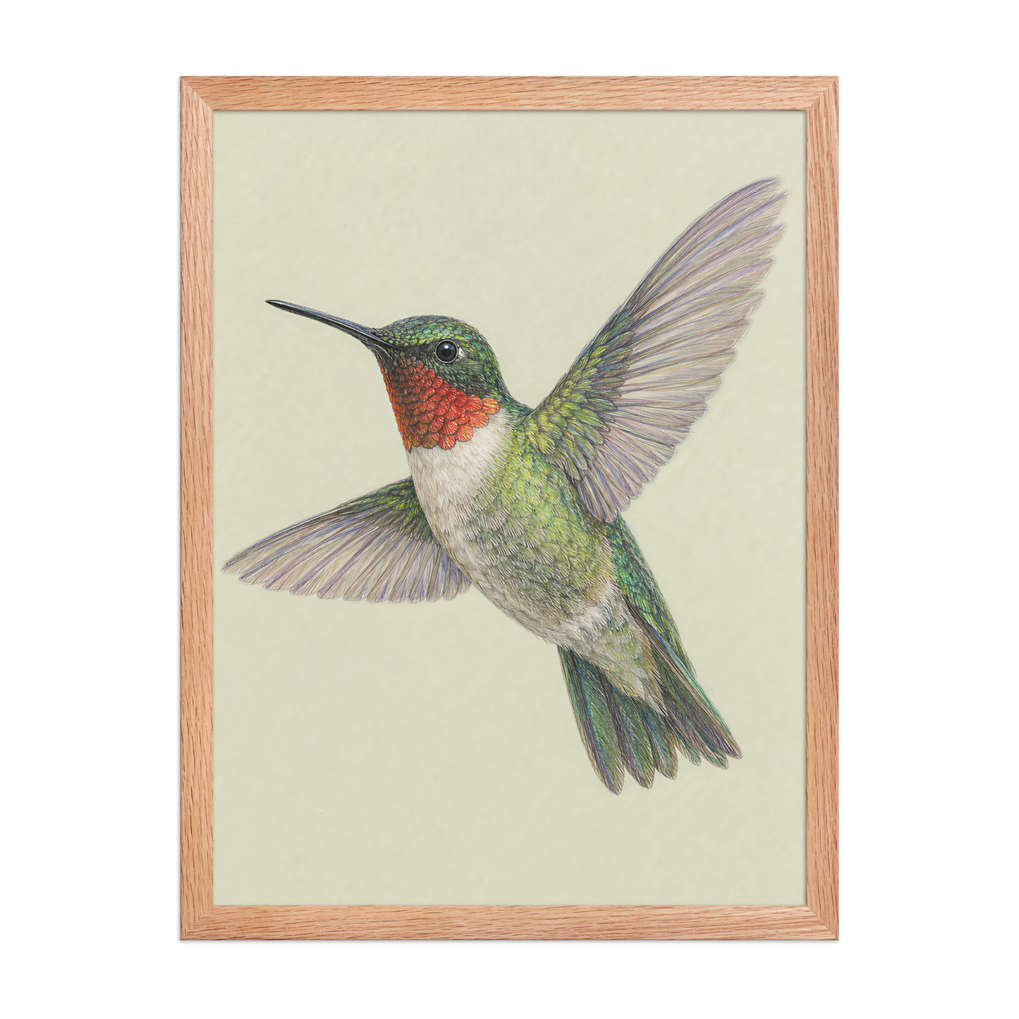 Framed Ruby-throated hummingbird colored pencil illustration print on sage green pastel background, wood frame wall art