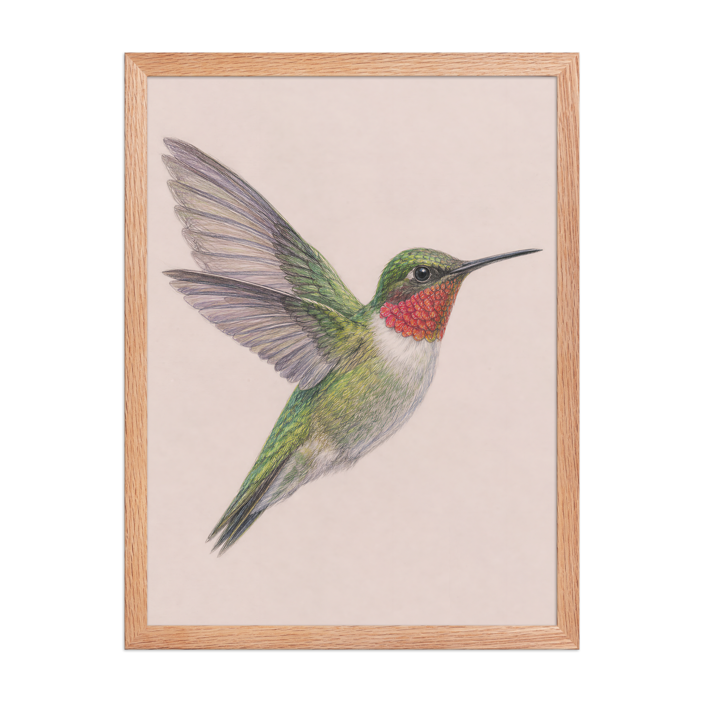 Framed Ruby-throated hummingbird colored pencil illustration print on dusty rose pastel background, wood frame wall art