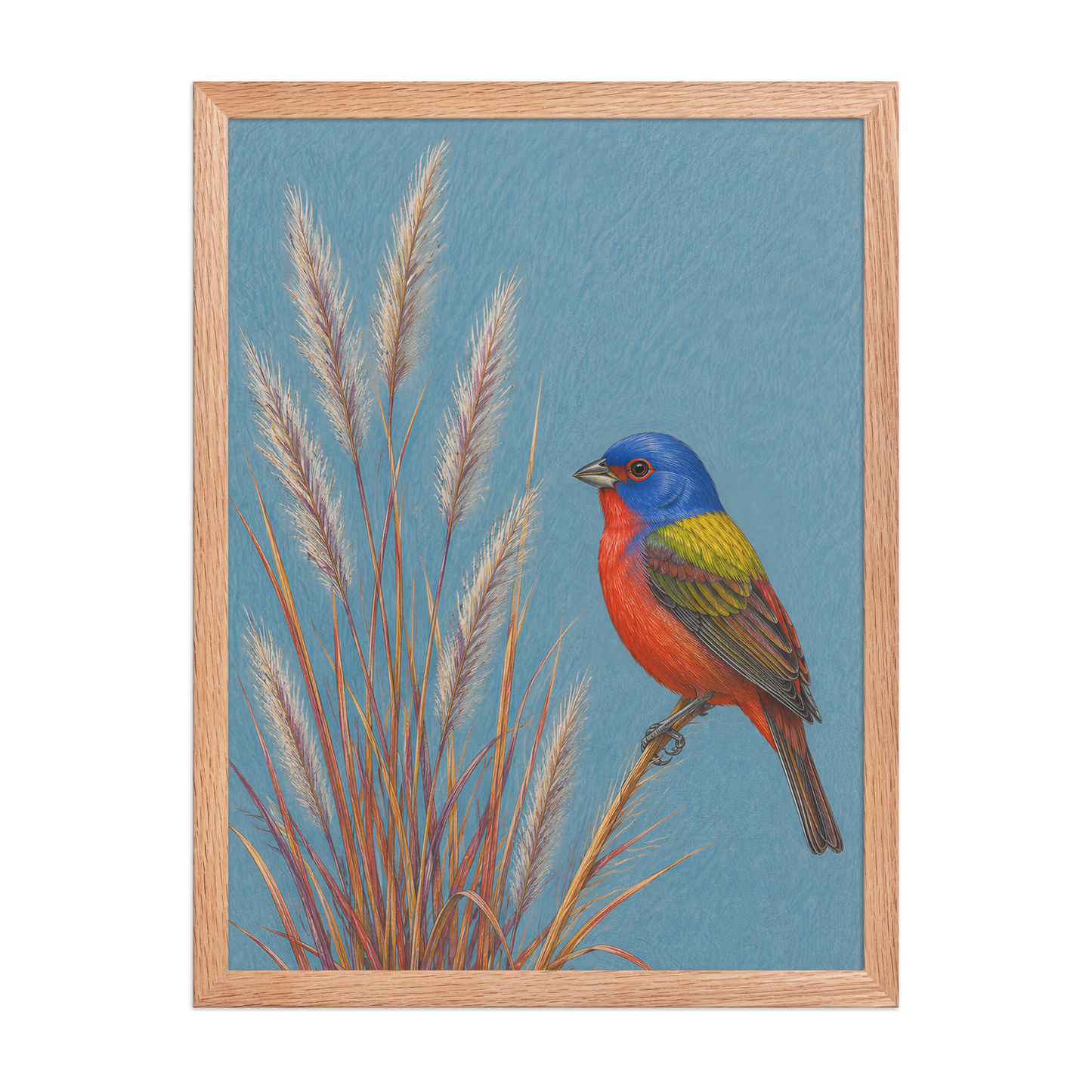 Framed Painted Bunting colored pencil illustration in prairie grass, dusty blue background, wood frame wall art