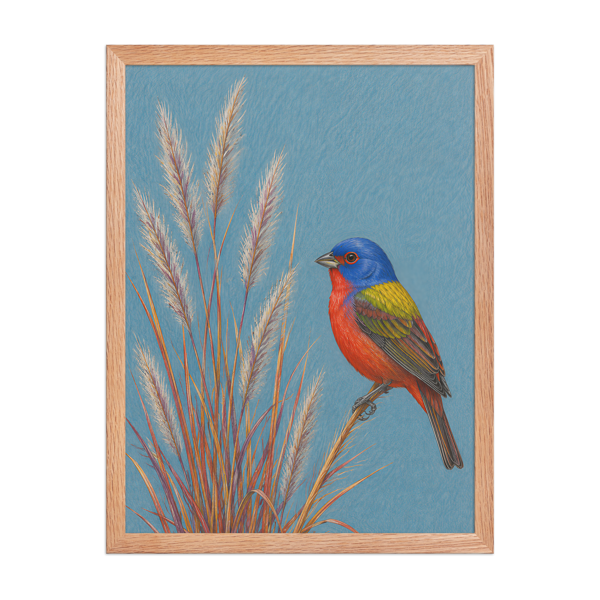 Framed Painted Bunting colored pencil illustration in prairie grass, dusty blue background, wood frame wall art