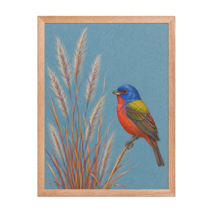 Framed Painted Bunting colored pencil illustration in prairie grass, dusty blue background, wood frame wall art