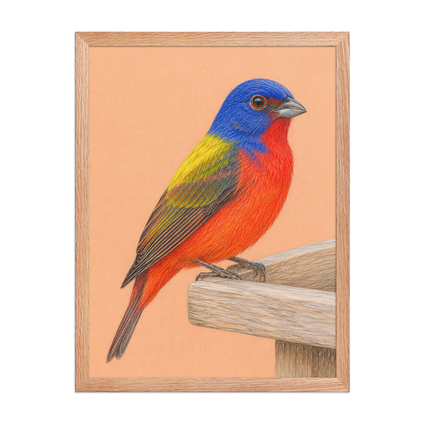 Framed Painted Bunting colored pencil illustration on wooden feeder, apricot background, wood frame wall art