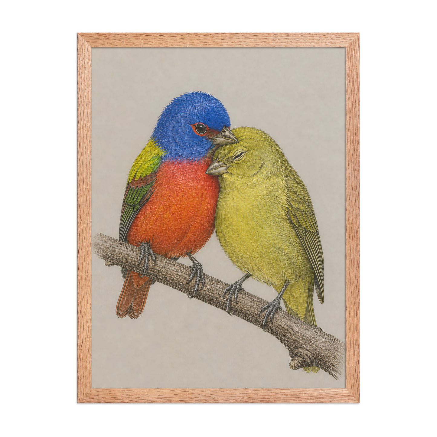 Framed male and female Painted Bunting pair colored pencil illustration, wood frame wall art