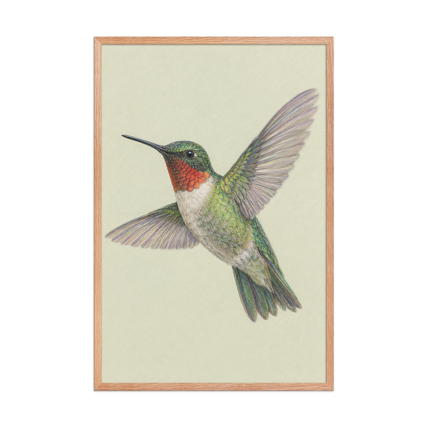 Framed Ruby-throated hummingbird colored pencil illustration print on sage green pastel background, wood frame wall art