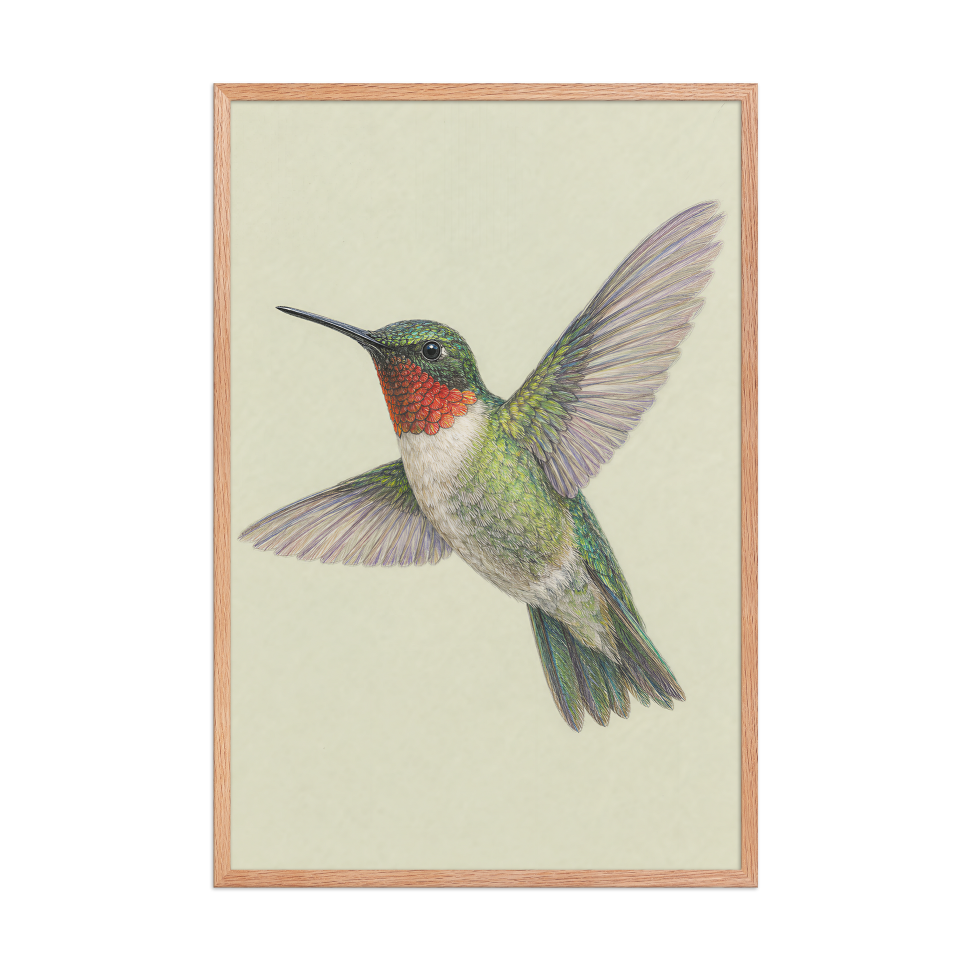 Framed Ruby-throated hummingbird colored pencil illustration print on sage green pastel background, wood frame wall art