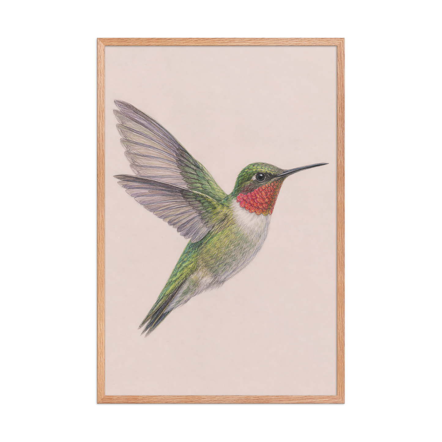 Framed Ruby-throated hummingbird colored pencil illustration print on dusty rose pastel background, wood frame wall art