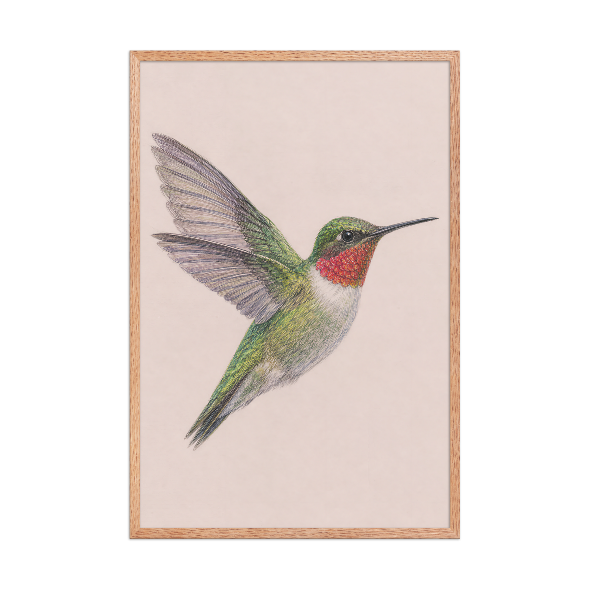 Framed Ruby-throated hummingbird colored pencil illustration print on dusty rose pastel background, wood frame wall art