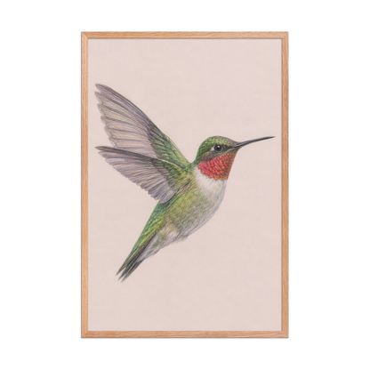 Framed Ruby-throated hummingbird colored pencil illustration print on dusty rose pastel background, wood frame wall art